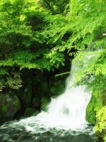 こんのはり灸院の経絡治療 こんのはり灸院の経絡治療